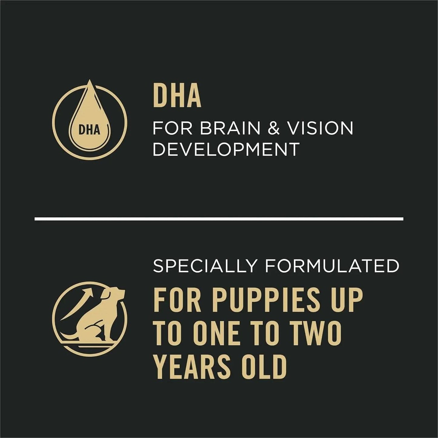 Classic Chicken and Rice Entrée Wet Puppy Food Pâté - Pack of 12 (13 oz. Cans)