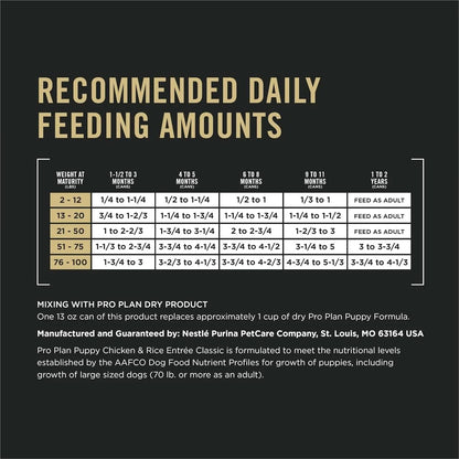 Classic Chicken and Rice Entrée Wet Puppy Food Pâté - Pack of 12 (13 oz. Cans)