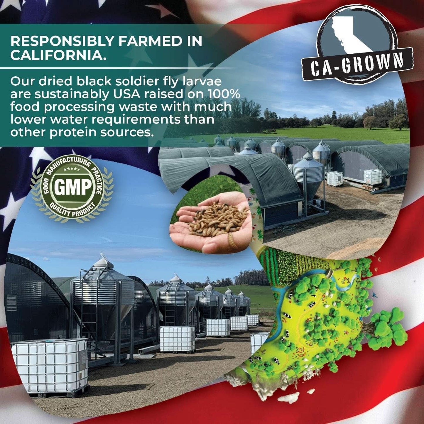 ® CRUNCHIES Dried Black Soldier Fly Larvae (1.2 lb Pouch) - Premium Bird and Chicken Treats with Higher Calcium, Protein, and Fat Content than Mealworms - Sustainably Farmed in the USA