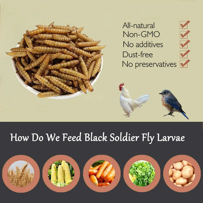 High-Protein Non-GMO Dried Black Soldier Fly Larvae for Poultry, Ducks, Wild Birds, and Reptiles (22 lb)
