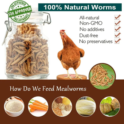 High-Protein Non-GMO Dried Mealworms for Chickens and Poultry - Versatile Treats for Ducks, Wild Birds, Fish, Reptiles, and Amphibians (5 lb)