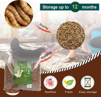High-Protein Non-GMO Dried Mealworms for Chickens and Poultry - Versatile Treats for Ducks, Wild Birds, Fish, Reptiles, and Amphibians (5 lb)