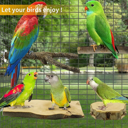 Natural Wooden Bird Perches and Grinding Sticks for Parakeets, Cockatiels, Lovebirds, Budgies, and Conures - 4 Pack