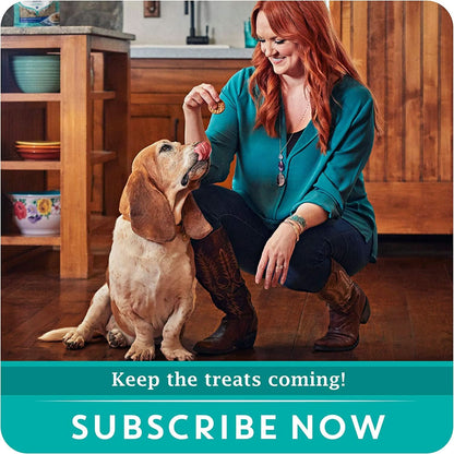 Pioneer Woman Grain-Free Dog Treats, Beef & Brisket BBQ Style Cuts, 30 oz. Pouch