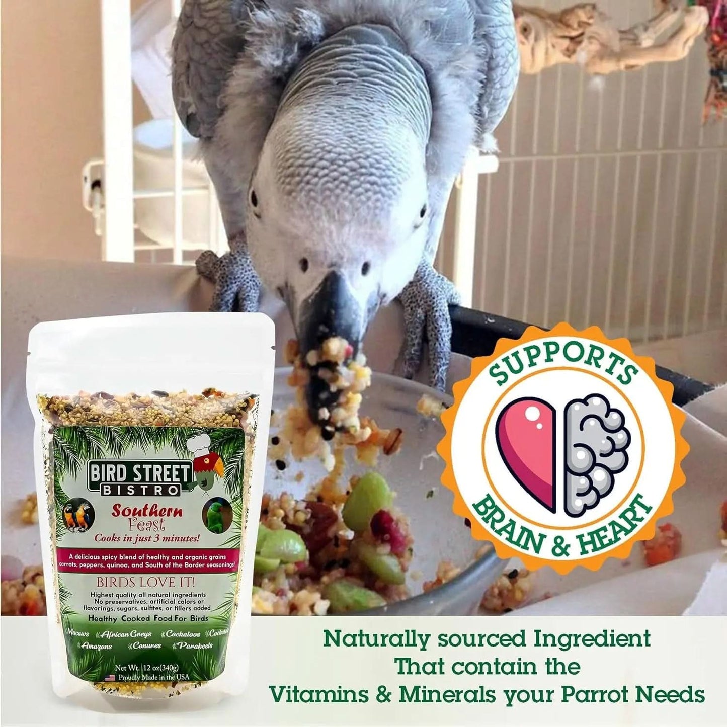 Premium Parrot Food Sample Pack - Nutritious Parakeet and Cockatiel Blend - Quick-Cook Natural and Organic Grains with Non-GMO Fruits and Health-Enhancing Spices