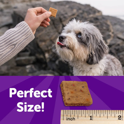 Rewarding Life Dog Treats, Natural, Training Treat, Grain Free, Soft Chicken & Venison (6 Ounce Bag)