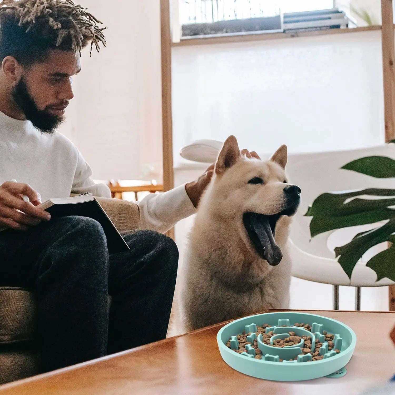 Set of 2 Slow Feeder Dog Bowls with Anti-Tipping Suction Cup Base, Silicone Design to Prevent Gulping and Vomiting for Dogs and Cats, Easy to Clean