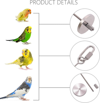 Stainless Steel Bird Food Holder and Foraging Toy for Parrots - Small Size Fruit and Vegetable Skewer