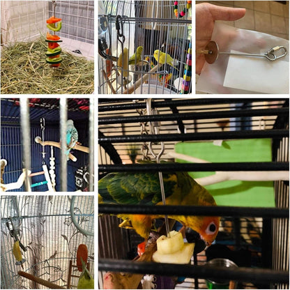 Stainless Steel Bird Food Holder and Foraging Toy for Parrots - Small Size Fruit and Vegetable Skewer
