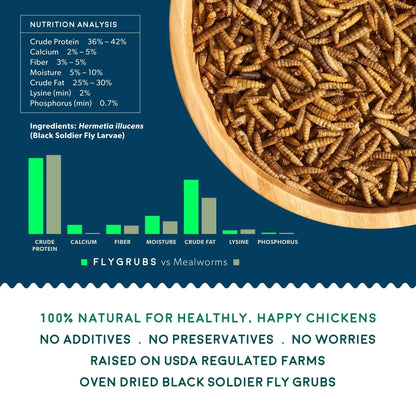 Superior to Dried Mealworms for Chickens (1Lb) - Non-Gmo Chicken Feed - BSFL Treats for Hens, Ducks, Turkeys, Wild Birds, Turtles, Quails