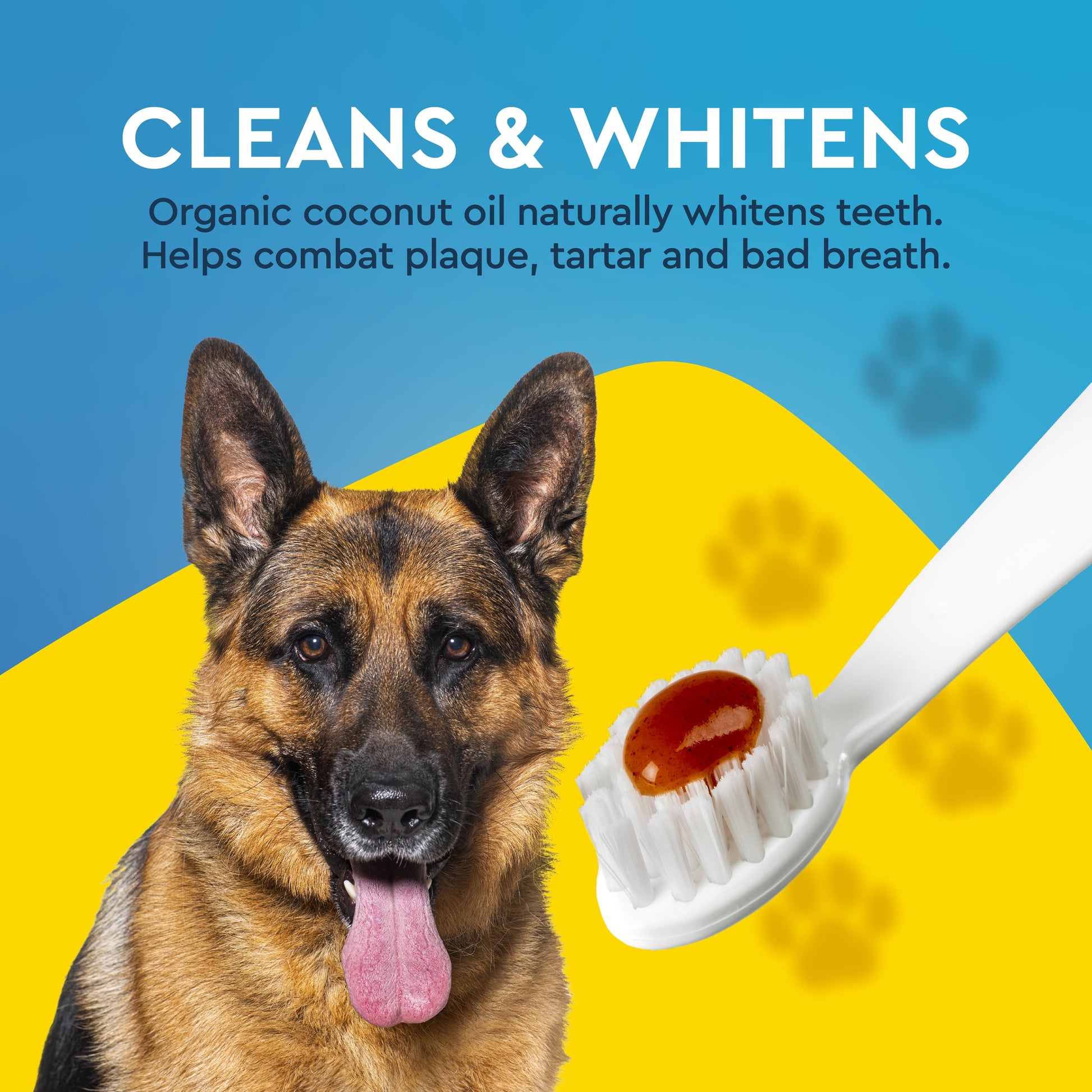 USDA Organic Canine Dog Gel Pet Toothpaste, Sweet Potato Cinnamon Flavor, 3.0 Oz Tube