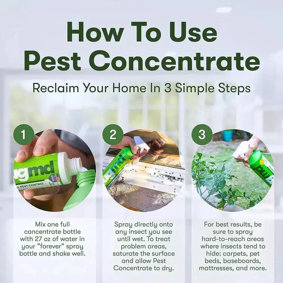Bugmd Pest Control Essential Oil Concentrate for Home Bed Bug Spray 3.7Oz 1-2PCK