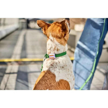 Poomergency Starter Pack - Dog Poop Bag Holder for Collars + 23 Emergency Refills - Never Bagless!