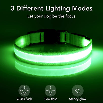 Adjustable LED Dog Collar - USB Rechargeable, Super Bright Safety Light, Glowing Dog Collar for Small Dogs (Green)