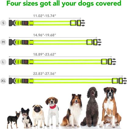 Adjustable LED Dog Collar - USB Rechargeable, Super Bright Safety Light, Glowing Dog Collar for Small Dogs (Green)