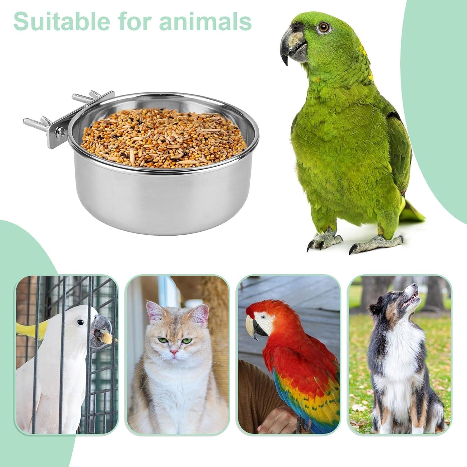 Large Stainless Steel Bird Food and Water Bowl for Parrots, Parakeets, Dogs, Cats, and Rabbits (5.5 x 2.3 inches)