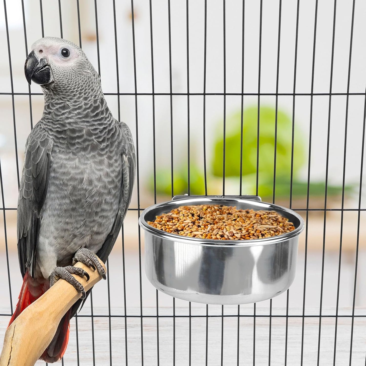 Large Stainless Steel Bird Food and Water Bowl for Parrots, Parakeets, Dogs, Cats, and Rabbits (5.5 x 2.3 inches)