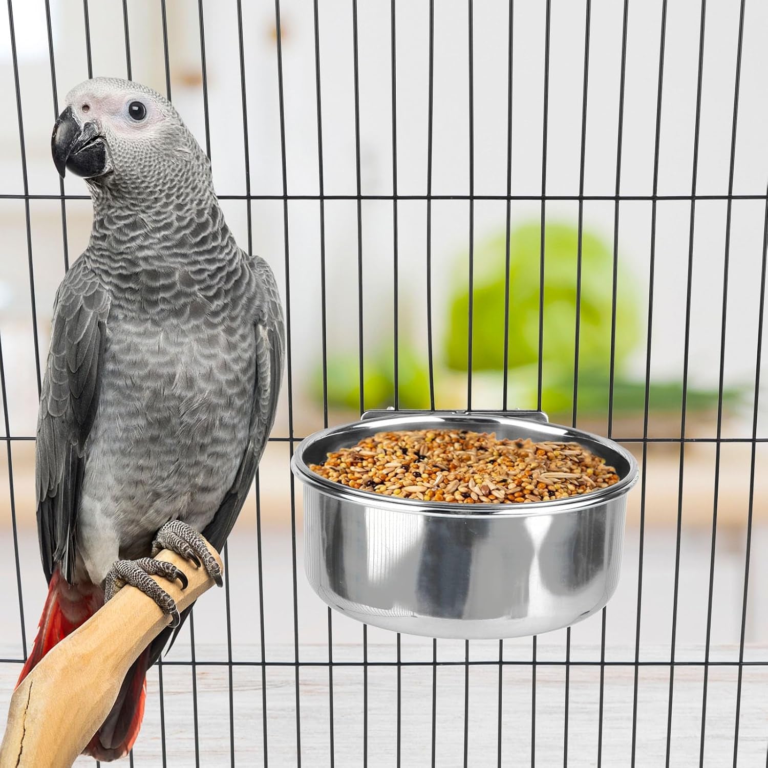 Large Stainless Steel Bird Food and Water Bowl for Parrots, Parakeets, Dogs, Cats, and Rabbits (5.5 x 2.3 inches)
