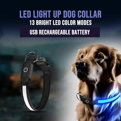 LED Light up Dog Collar, USB Rechargeable, Waterproof Glowing Pet Safety Collar, Adjustable Nylon for Medium Dogs
