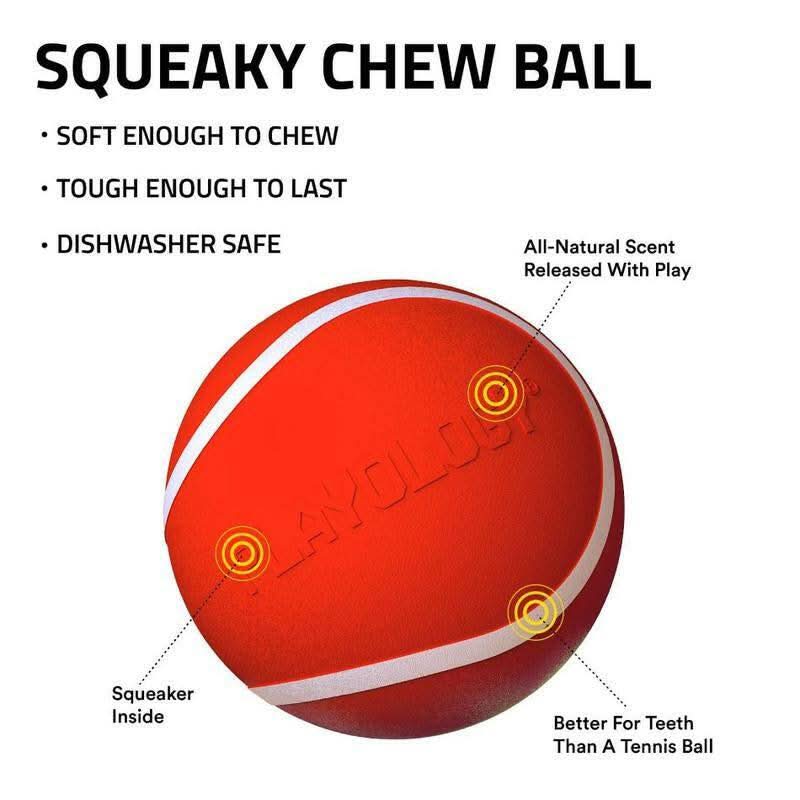 Playology Squeaky Chew Ball Dog Toy - Interactive Squeaky Sound, All-Natural Beef Scent, Easy to Clean, Medium Size (Up to 50Lbs)