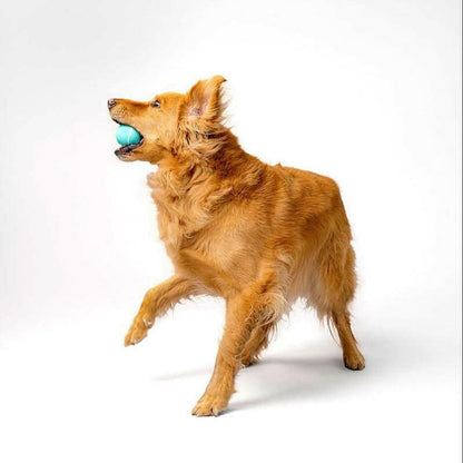 Playology Squeaky Chew Ball Dog Toy - Interactive Squeaky Sound, All-Natural Beef Scent, Easy to Clean, Medium Size (Up to 50Lbs)