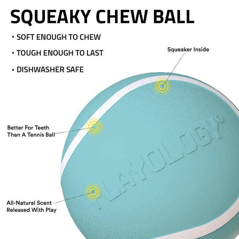 Playology Squeaky Chew Ball Dog Toy - Interactive Squeaky Sound, All-Natural Beef Scent, Easy to Clean, Medium Size (Up to 50Lbs)