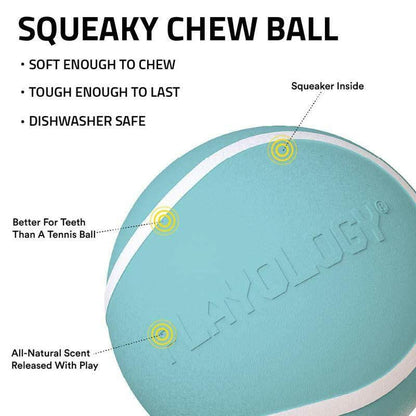 Playology Squeaky Chew Ball Dog Toy - Interactive Squeaky Sound, All-Natural Beef Scent, Easy to Clean, Medium Size (Up to 50Lbs)