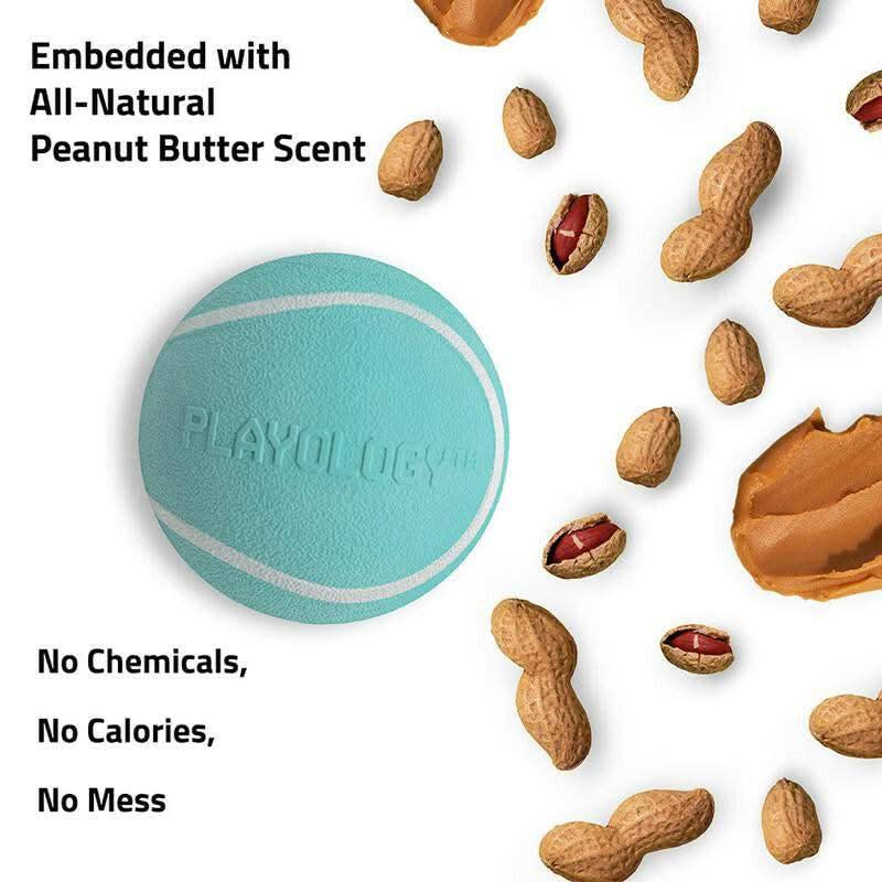Playology Squeaky Chew Ball Dog Toy - Interactive Squeaky Sound, All-Natural Beef Scent, Easy to Clean, Medium Size (Up to 50Lbs)