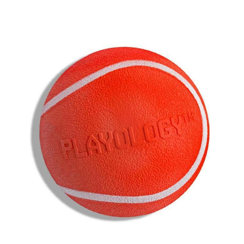 Playology Squeaky Chew Ball Dog Toy - Interactive Squeaky Sound, All-Natural Beef Scent, Easy to Clean, Medium Size (Up to 50Lbs)