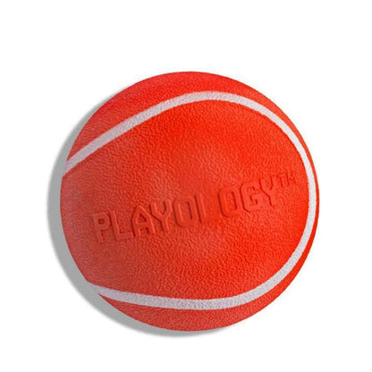 Playology Squeaky Chew Ball Dog Toy - Interactive Squeaky Sound, All-Natural Beef Scent, Easy to Clean, Medium Size (Up to 50Lbs)
