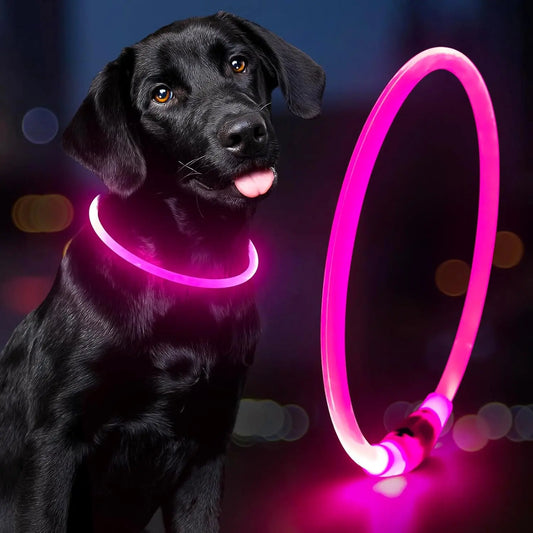 Rechargeable Waterproof LED Dog Collar - Adjustable TPU Glow-in-the-Dark Light for Night Walking (Pink)