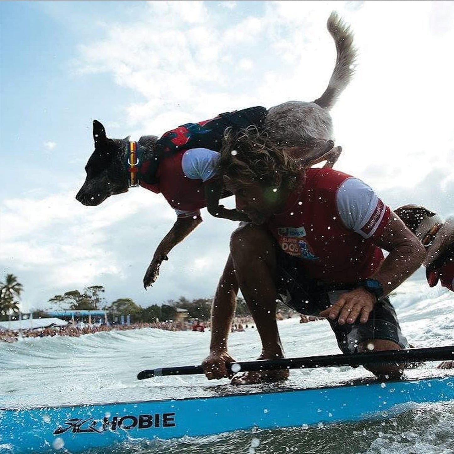 DFD Dog Life Jacket - Adjustable Safety Vest with Reflective Trim and Durable Grab Handle - Enhanced Flotation for Small Dogs - Red