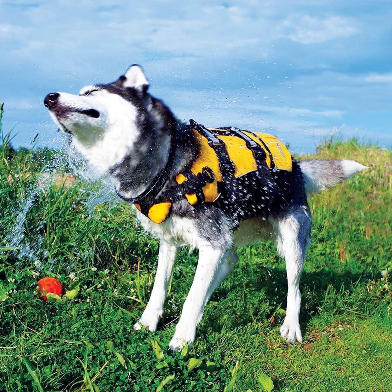 DFD Dog Life Jacket - Adjustable Safety Vest with Reflective Trim and Durable Grab Handle - Enhanced Flotation for Small Dogs - Red