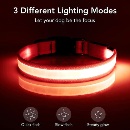 Adjustable LED Dog Collar - USB Rechargeable, Super Bright Safety Light for Enhanced Visibility (Small, Red)