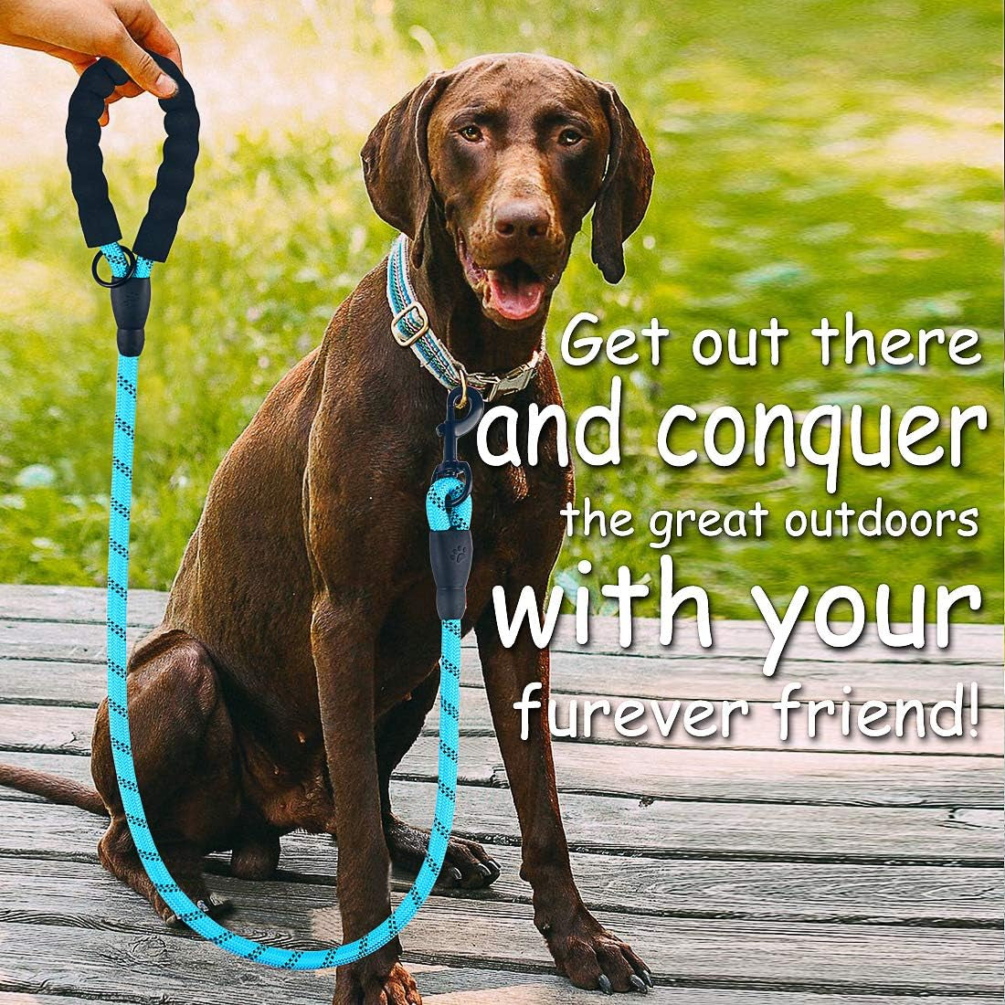 Premium Dog Leash - Thick Nylon Rope (2FT/5FT/6FT) with Padded Handle, Reflective Features, Includes Collapsible Pet Bowl & Waste Bags (Blue, 1/3" X 5 FT)