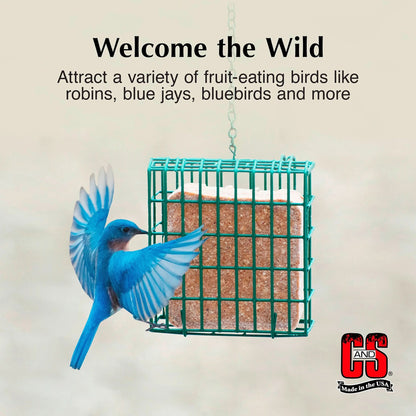 C&S Berry Suet Treat 11.75 Ounces 8 Pack