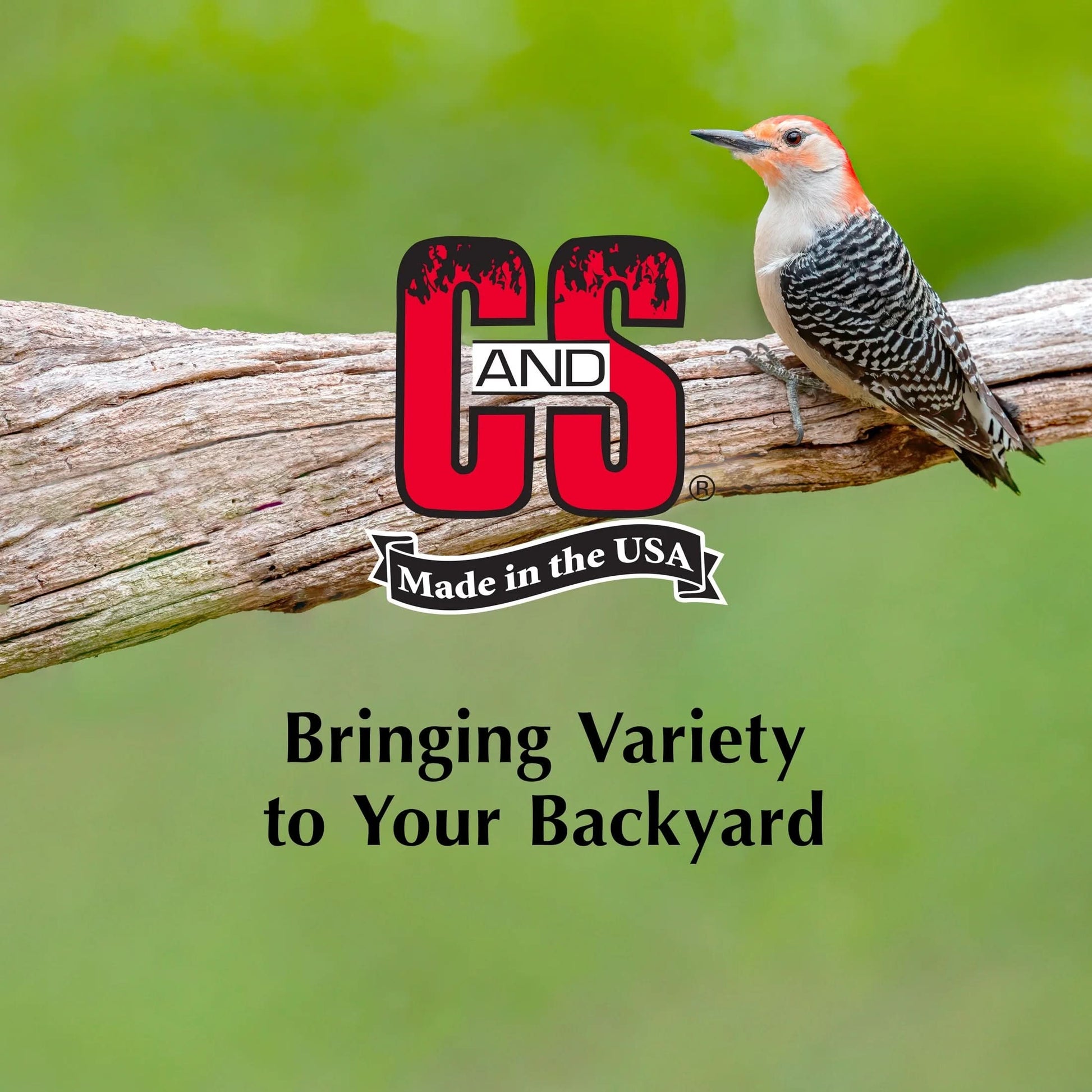 C&S Berry Suet Treat 11.75 Ounces 8 Pack