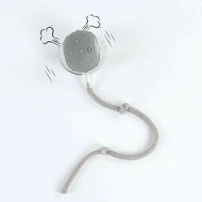Cat&Dog Toy - Interactive USB Rechargeable Ball Toy on Rug with Bird Chirping, Anti-Depression Fun Gift for Cats & Dogs
