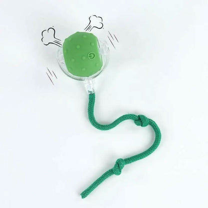 Cat&Dog Toy - Interactive USB Rechargeable Ball Toy on Rug with Bird Chirping, Anti-Depression Fun Gift for Cats & Dogs