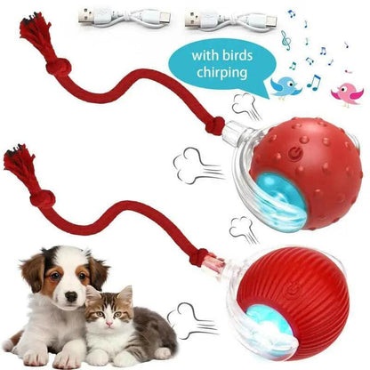 Cat&Dog Toy - Interactive USB Rechargeable Ball Toy on Rug with Bird Chirping, Anti-Depression Fun Gift for Cats & Dogs