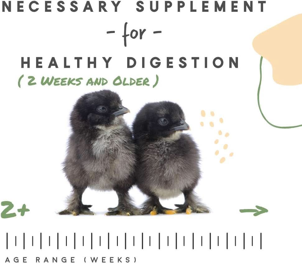 Chick Grit - Digestive Supplement for Young Poultry and Bantam Breeds with Probiotics, 25 lbs of Natural Insoluble Crushed Granite, Free from Artificial Ingredients and Preservatives