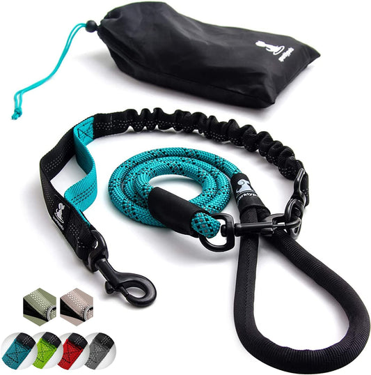 Durable Bungee Leash for Medium to Large Dogs with Anti-Pull Shock Absorption - Non-Slip Reflective Outdoor Lead (Teal, 5.5 Ft)