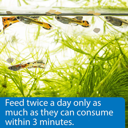 Tropical Greens Flakes Fish Food for Tropical Fish, 2.1-Ounce Container