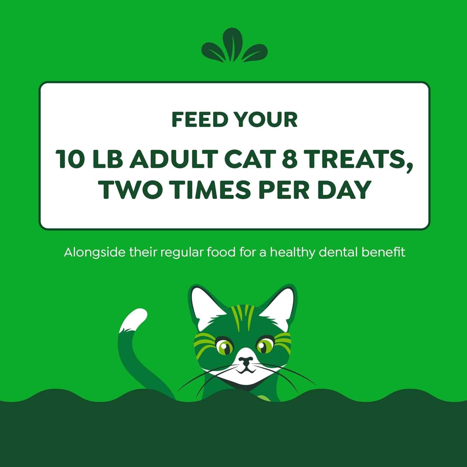 Feline Adult Dental Treats with Tempting Tuna Flavor, 9.75 Oz Tub