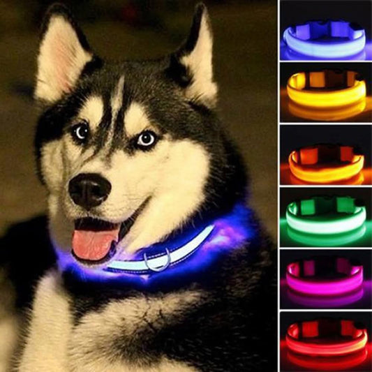 2 PCS Set Nylon LED Dog Collar - Pets Best shop