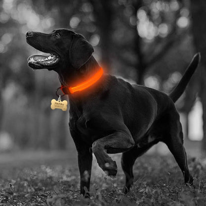 2 PCS Set Nylon LED Dog Collar - Pets Best shop
