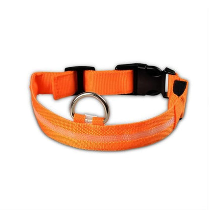 2 PCS Set Nylon LED Dog Collar - Pets Best shop