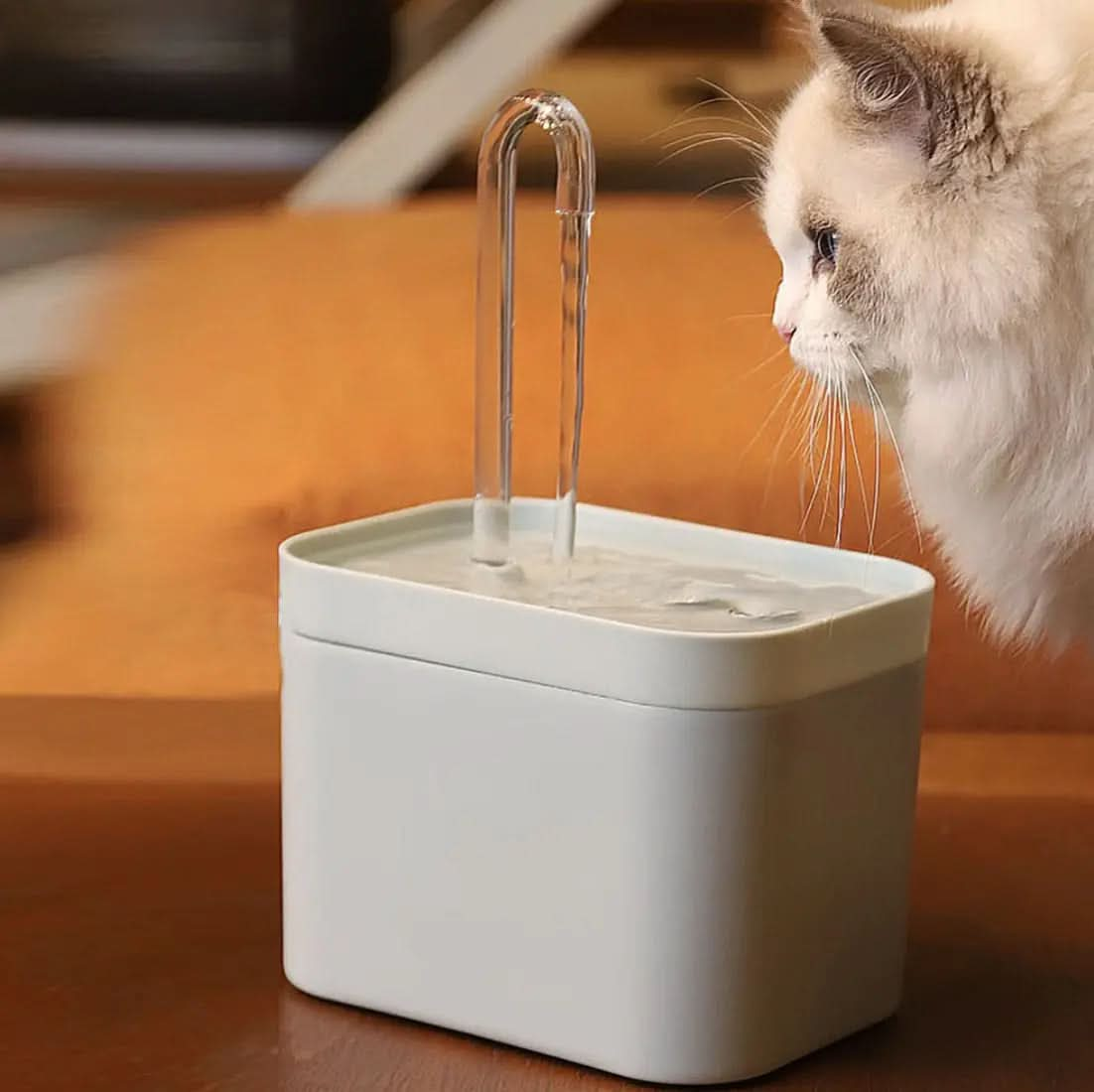 Automatic Cat Water Fountain Stone's Store