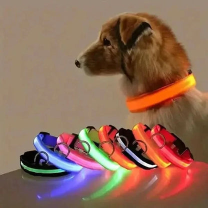 LED Nylon Dog Leash & Collar Set – Glow-in-the-Dark Flashing Pet Gear for Night Safety Stone's Store
