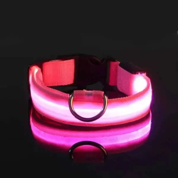 LED Nylon Dog Leash & Collar Set – Glow-in-the-Dark Flashing Pet Gear for Night Safety Stone's Store